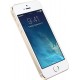 Apple iPhone 5S 16Gb Gold (A1533)